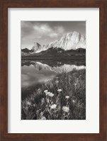 Pronghorn and Dragon Head Peaks BW Fine Art Print