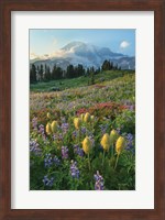 Paradise Wildflower Meadows II Fine Art Print