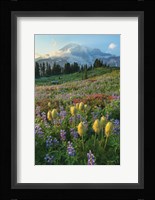 Paradise Wildflower Meadows II Fine Art Print