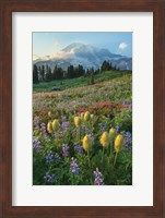 Paradise Wildflower Meadows II Fine Art Print