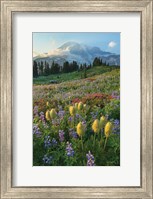 Paradise Wildflower Meadows II Fine Art Print