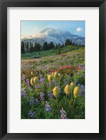 Paradise Wildflower Meadows II Fine Art Print