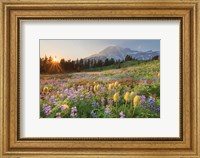 Paradise Wildflower Meadows I Fine Art Print