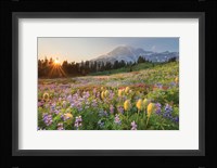 Paradise Wildflower Meadows I Fine Art Print