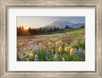 Paradise Wildflower Meadows I Fine Art Print