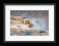 Terraces of Canary Spring Fine Art Print