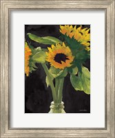 Sunny on Black Fine Art Print