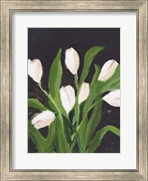 White Tulips on Black (1) Fine Art Print