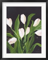 White Tulips on Black (1) Fine Art Print