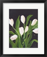 White Tulips on Black (1) Framed Print