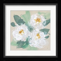 Peonies on Cream II Framed Print