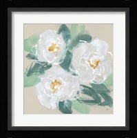 Peonies on Cream I Framed Print