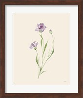 Wild Blooms II Fine Art Print