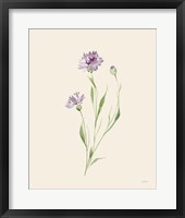 Wild Blooms II Framed Print