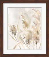 Light Pampas Grasses III Fine Art Print