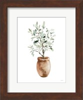 Potted Olive Tree Fine Art Print