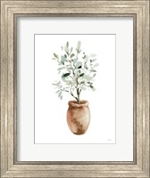 Potted Olive Tree Fine Art Print