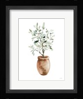 Potted Olive Tree Fine Art Print