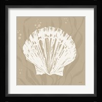 Seaside Style XV Shell Fine Art Print