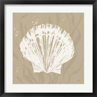 Seaside Style XV Shell Fine Art Print