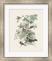 Honeybloom Bird II Fine Art Print