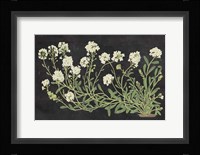 Vintage Flowers on Black Fine Art Print