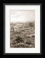 Field of Flowers III Sepia Fine Art Print