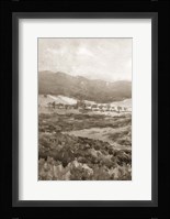 Field of Flowers II Sepia Fine Art Print