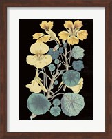 Antique Botanical XVII Cool on Black Fine Art Print