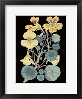 Antique Botanical XVII Cool on Black Framed Print