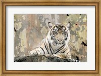 Tiger Love Fine Art Print