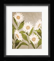 Daisies 2 Framed Print