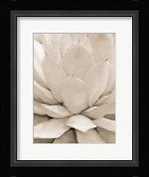 Agave Neutral 1 Fine Art Print