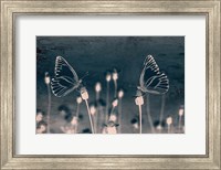 Butterfly Love Fine Art Print