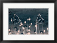 Butterfly Love Fine Art Print