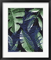 Tropic Palms 1 Fine Art Print