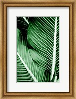 Tropical 1 Fine Art Print