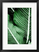 Tropical 1 Framed Print