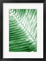 Tropical 2 Fine Art Print