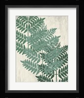 Fern 1 Greens Fine Art Print