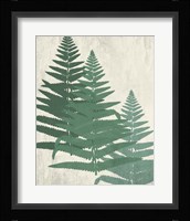 Fern 2 Greens Fine Art Print