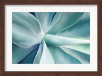 Agave Fine Art Print