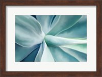 Agave Fine Art Print