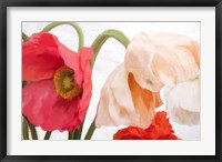 Poppies Fine Art Print