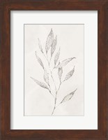 Spotted Botanical 2 Fine Art Print
