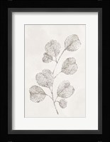 Spotted Botanical 3 Framed Print