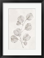 Spotted Botanical 3 Fine Art Print