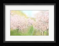 Springtime Farm Fine Art Print