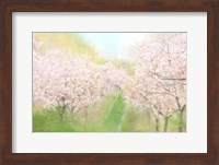 Springtime Farm Fine Art Print