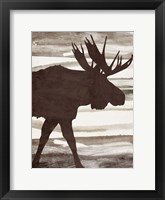 Moose 1 Framed Print